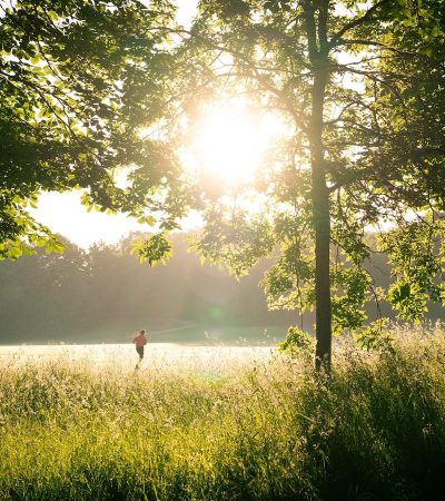 From Couch to Champion: Shattering Limits with our Zero-to-Marathon Training Plan