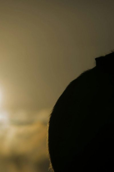 Discover Temu’s Thrifty Paradise: Revel in Unmatched Deals for All!