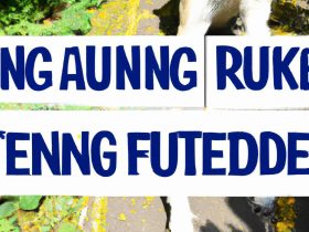 Running Together: A Guide to Taking Your Pet Along for the Jogging Adventure