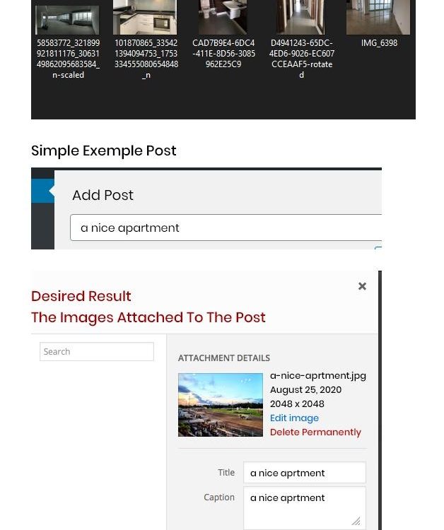 Step by Step: Your Guide to Joining Running Competitions Safely and Successfully