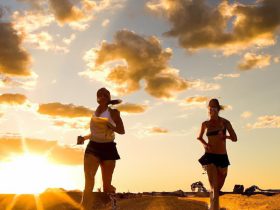 Morning vs. Evening Runs: When is the Best Time to Hit the Pavement?