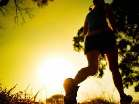 Morning vs. Evening Runs: Finding Your Perfect Time to Hit the Pavement