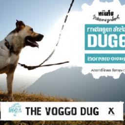 Choosing the ​Right Dog for Your Running Adventures