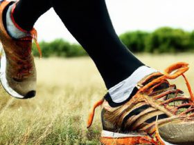 The Ultimate Guide to Selecting the Perfect Running Shoes Tailored for You